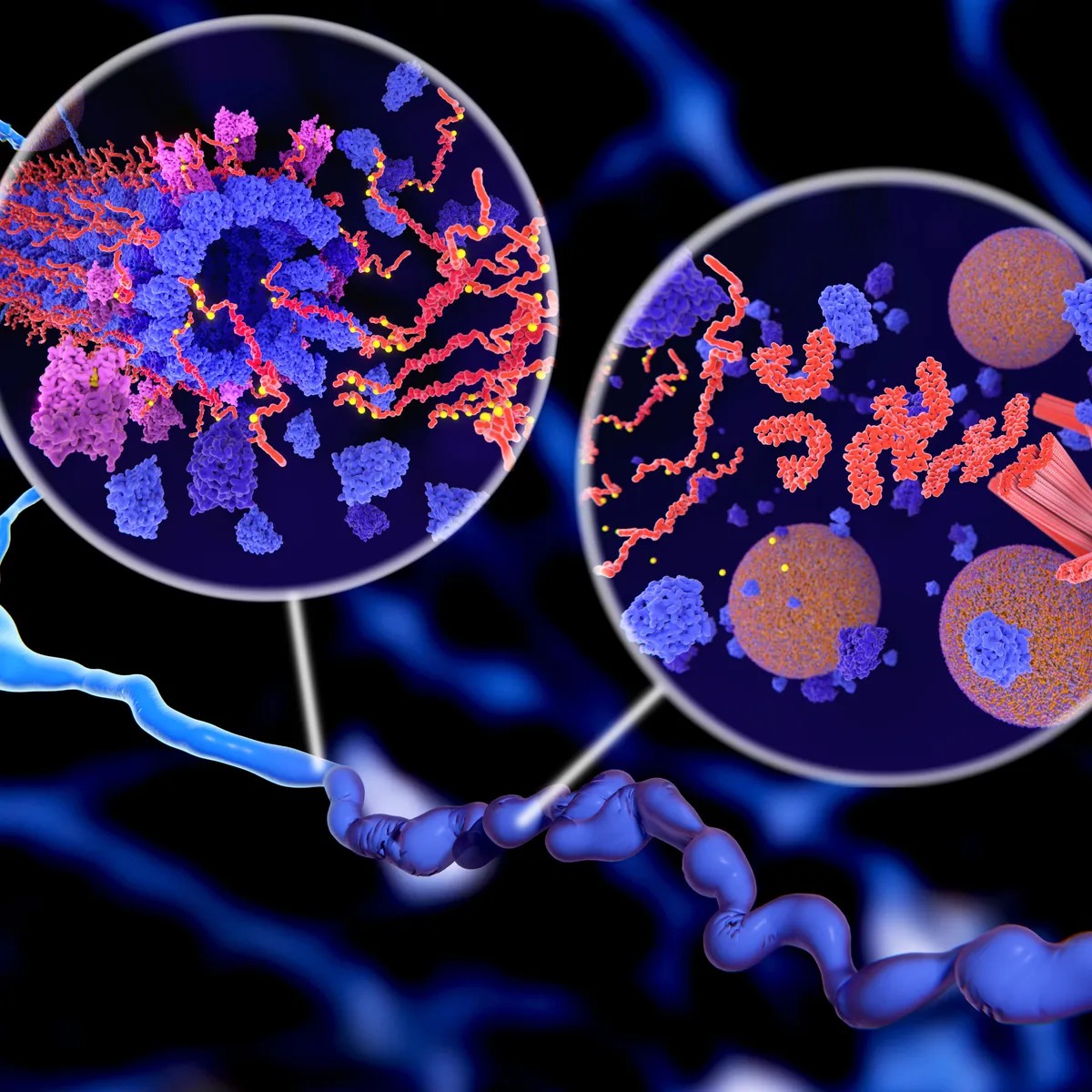 More About Peptide Therapy